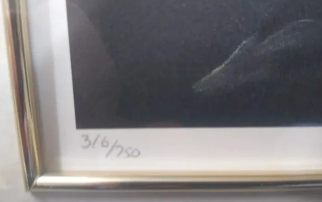 Authentic Debi Fitzgerald Artwork image indicator(3)