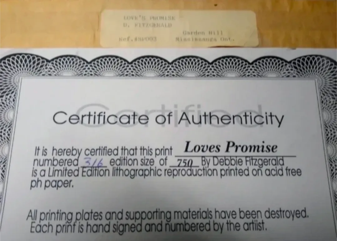 Authentic Debi Fitzgerald Artwork image indicator(4)