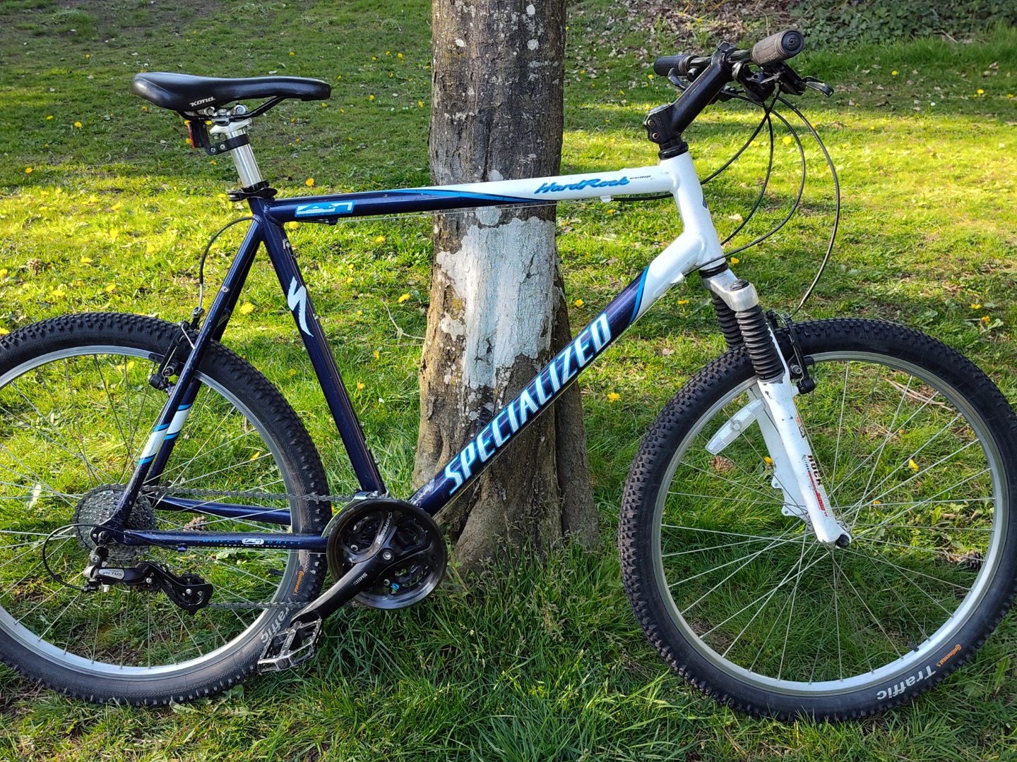 Fully tuned up Specialized MTB - XL frame