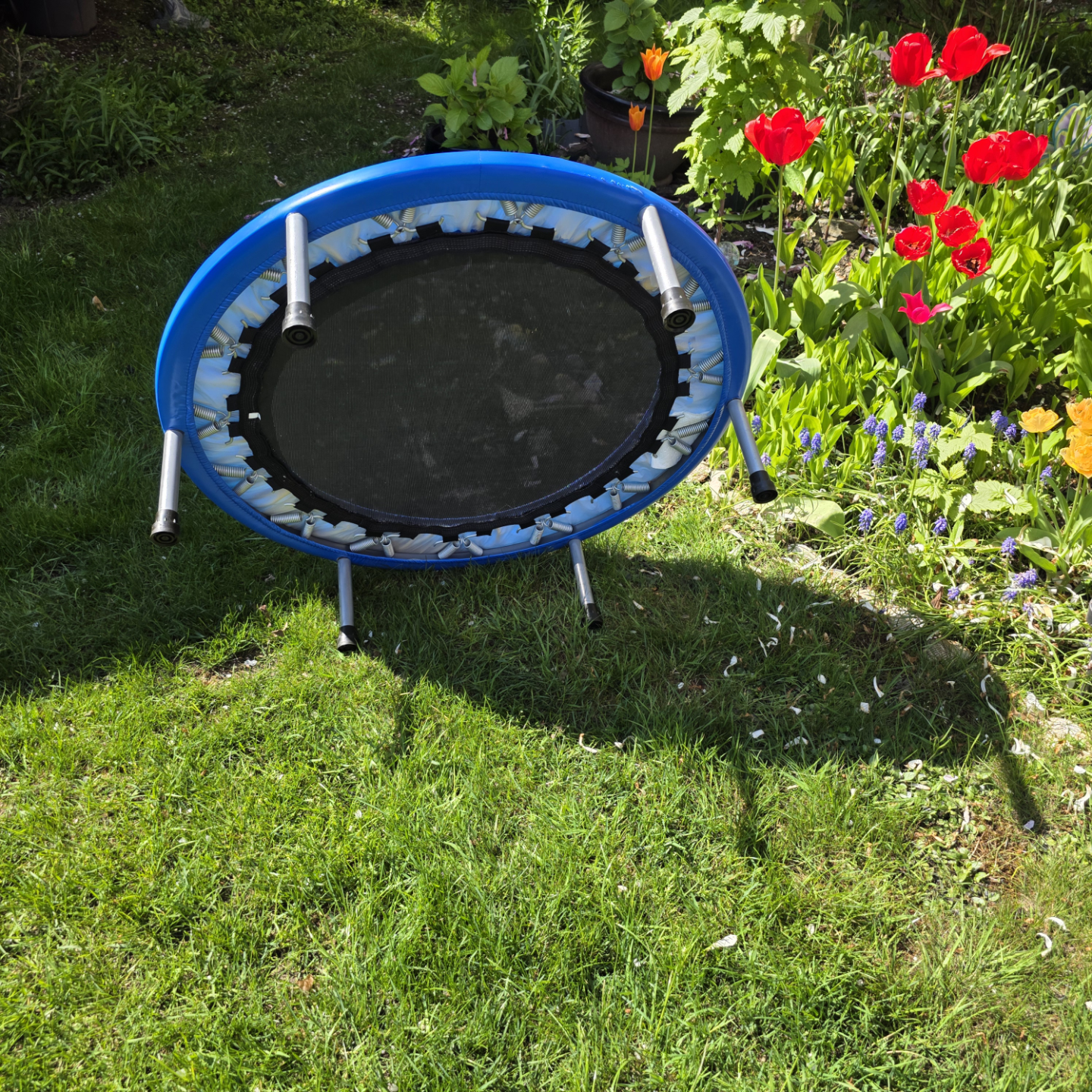 kid's trampoline - photo 2