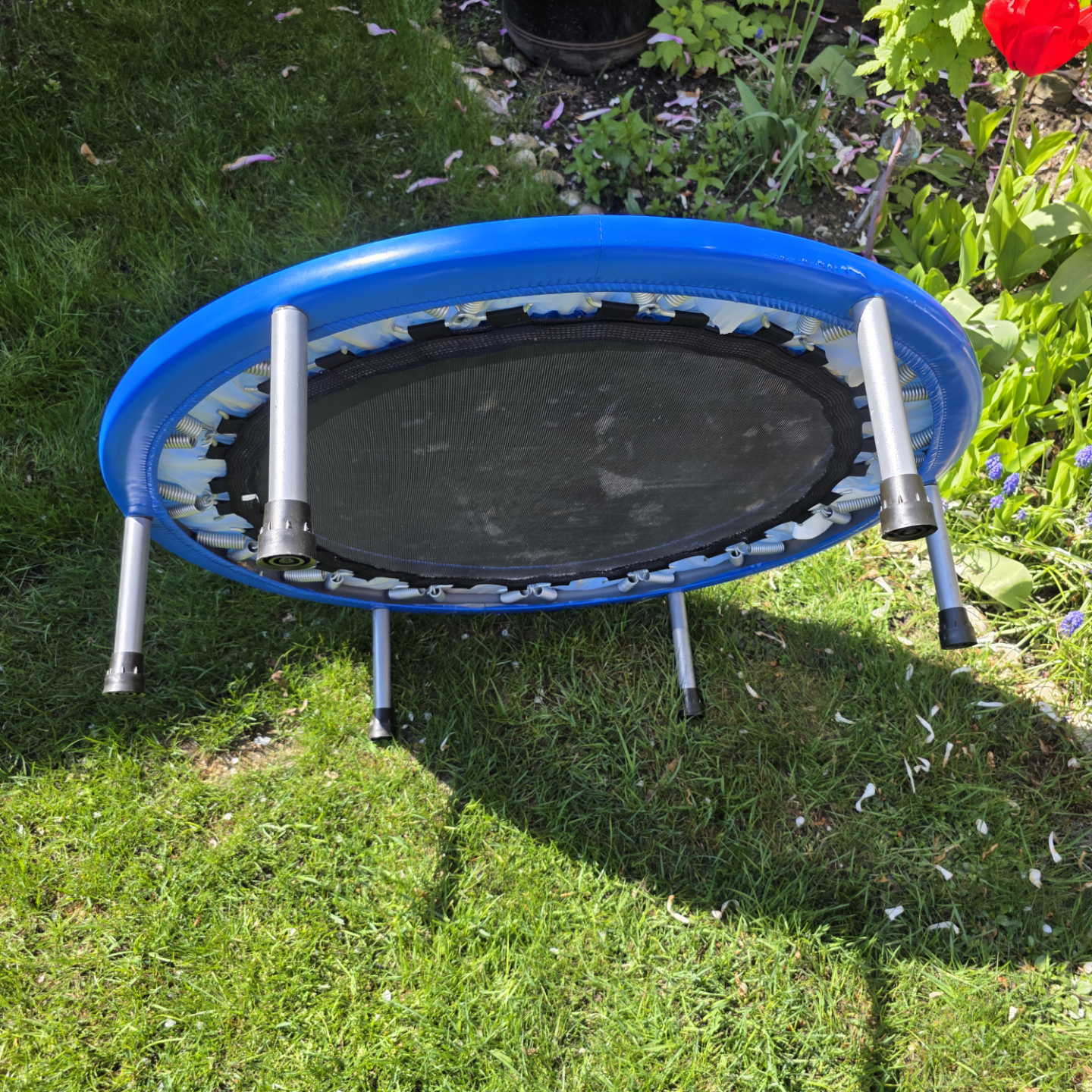 kid's trampoline - photo 3