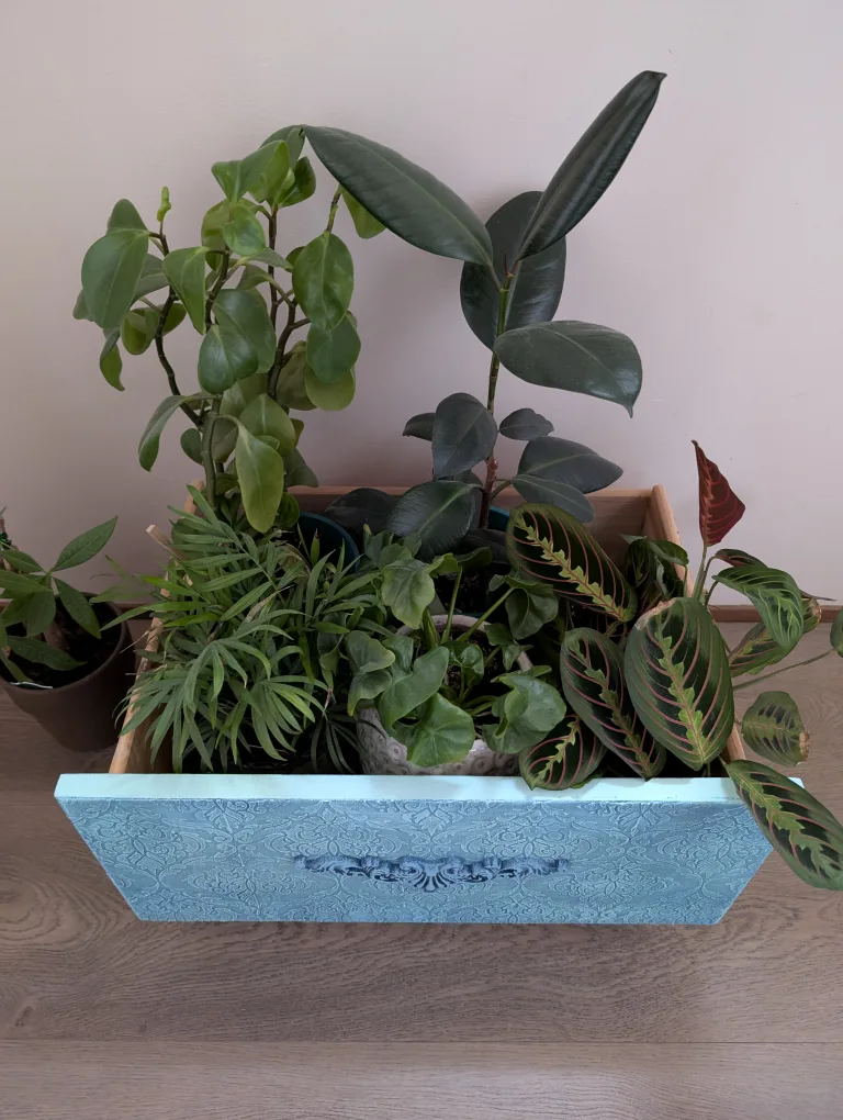 Upcycled Drawer Planter Box - Indoor use 💚 image indicator(5)