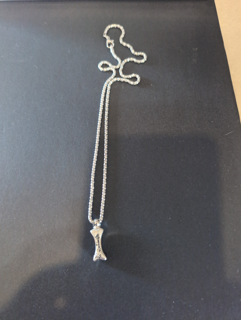 Silver Pet Paw Print Bone (Cremation Ash Necklace) 💚 - photo 2