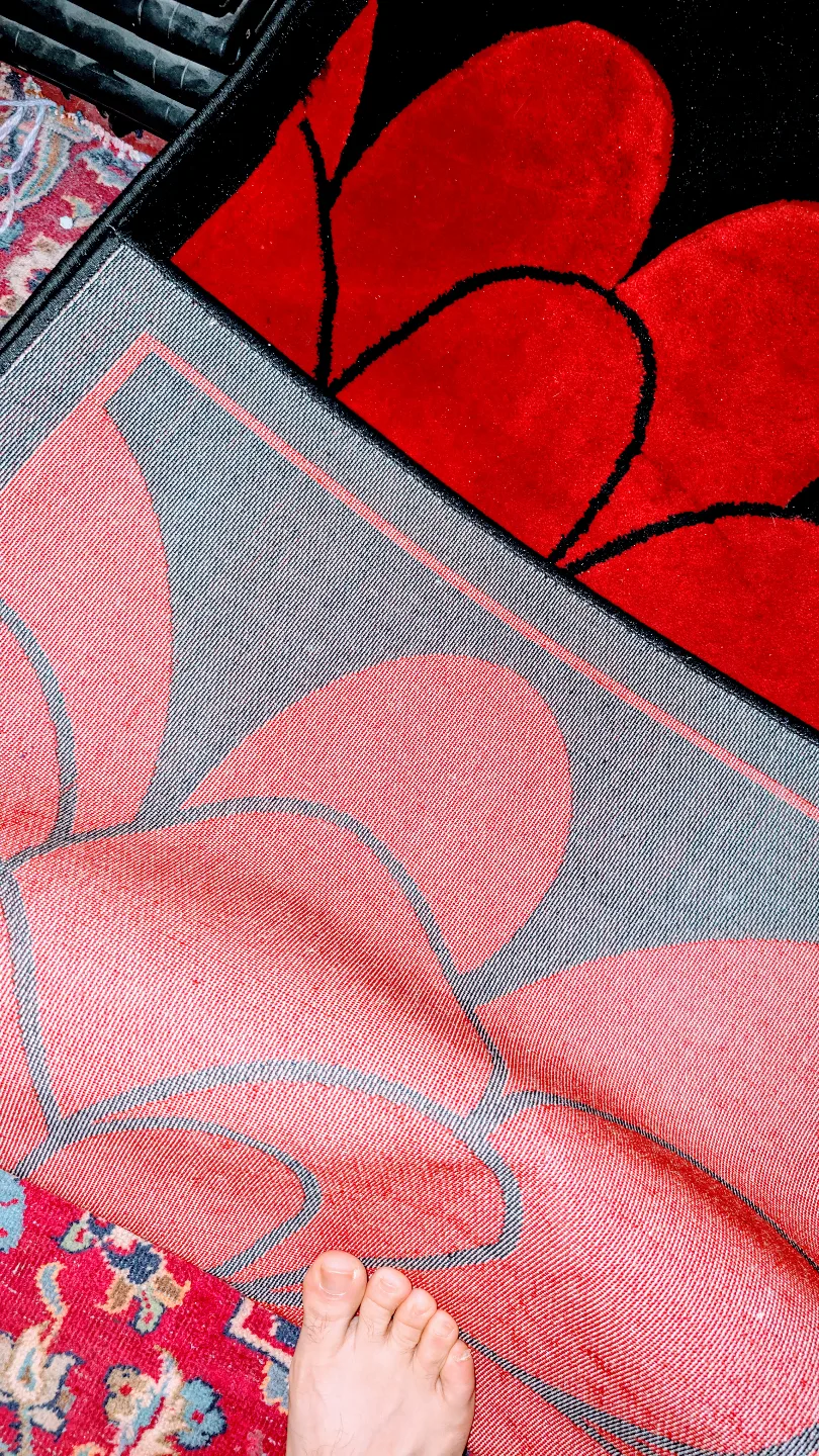 Red and Grey Floral Area Rug image indicator(4)