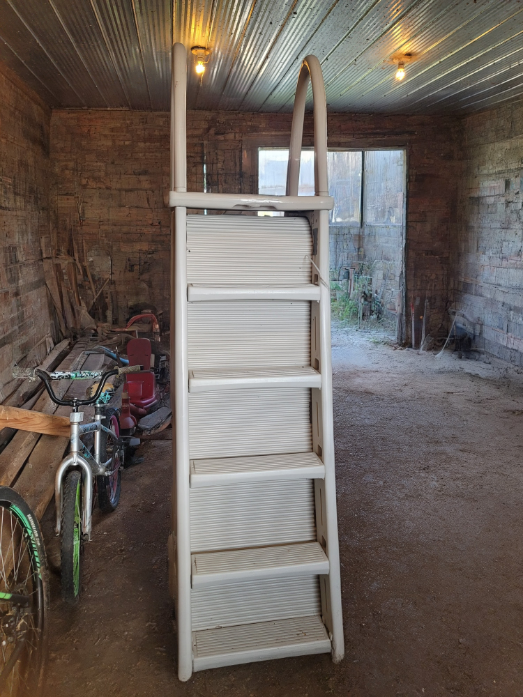 Pool Safety Ladder