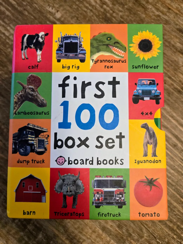 💚 First 100 Box Set Board Books thumbnail
