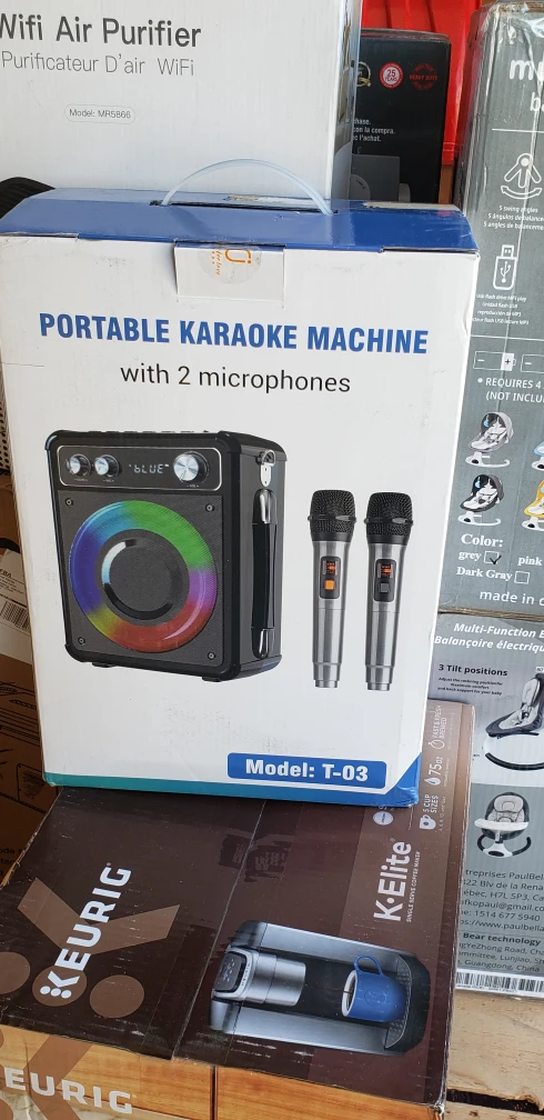 Portable Karaoke Machine with 2 Microphones