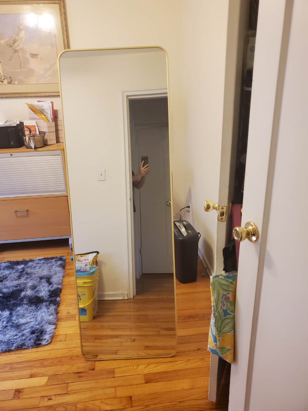 Full Length Gold Frame Freestanding Mirror