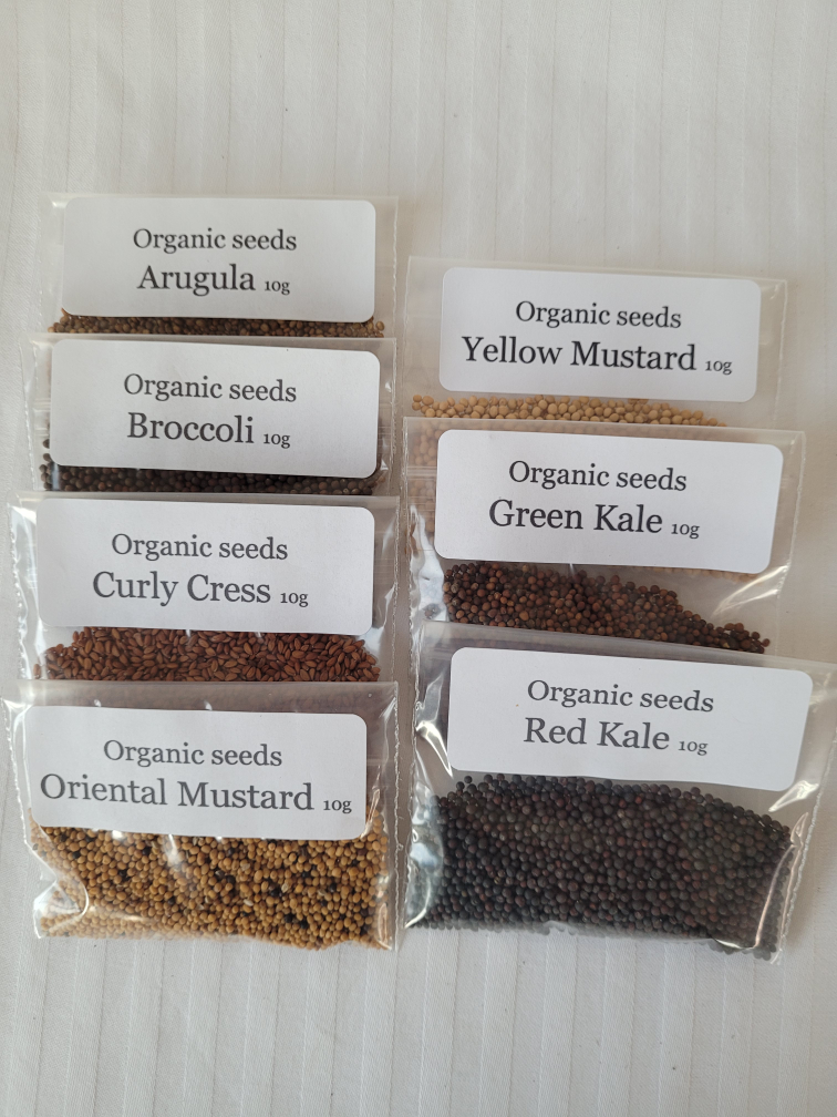 Organic Vegetable & Herb Seeds Variety Pack