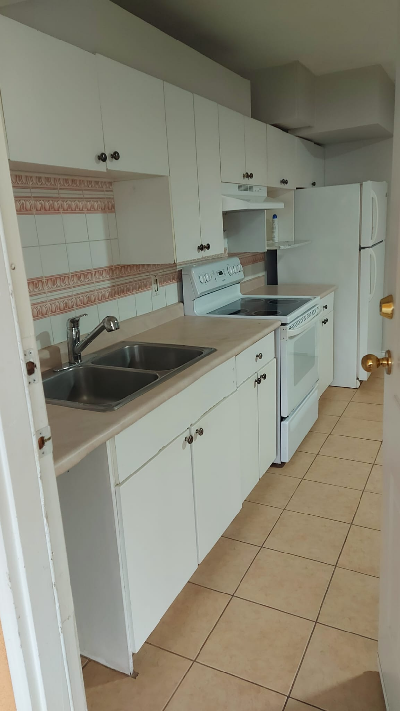 2 Bd - above ground basement suite Available now