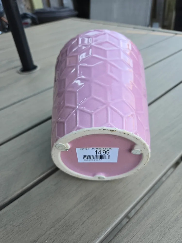 Potted Upgrade Pink Planter 💚 thumbnail