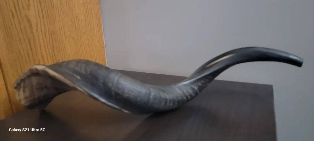 Annointed Shofar Ram's Horn and Free Gifts of $260 in Value. image indicator(2)