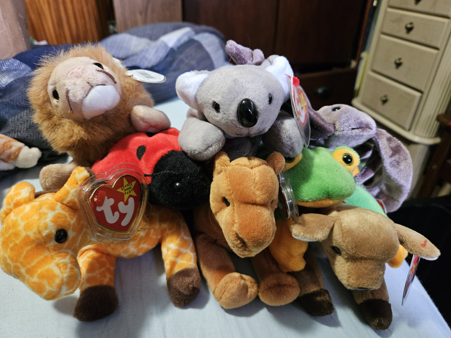 Beanie Babies