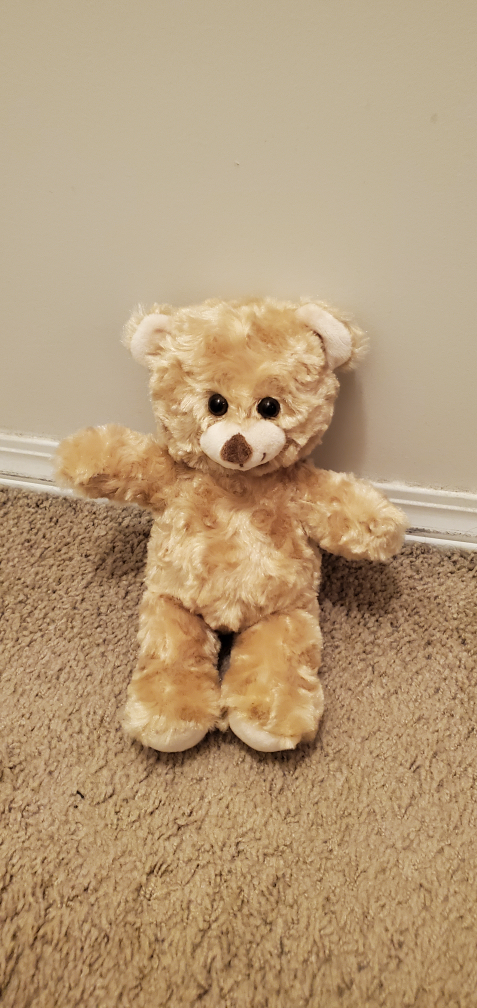 Adorable Tan Plush Teddy Bear