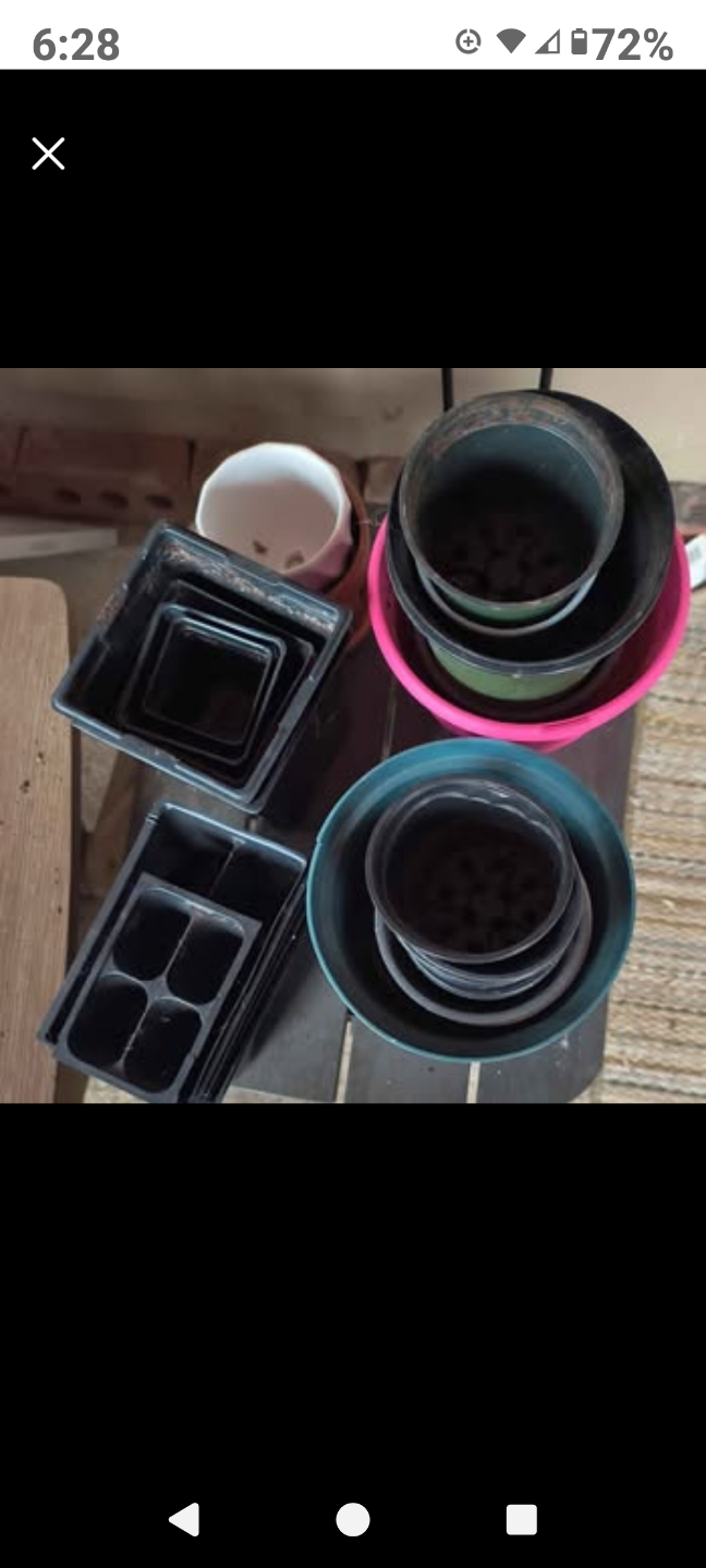 Assorted Plastic Plant Pots and Trays