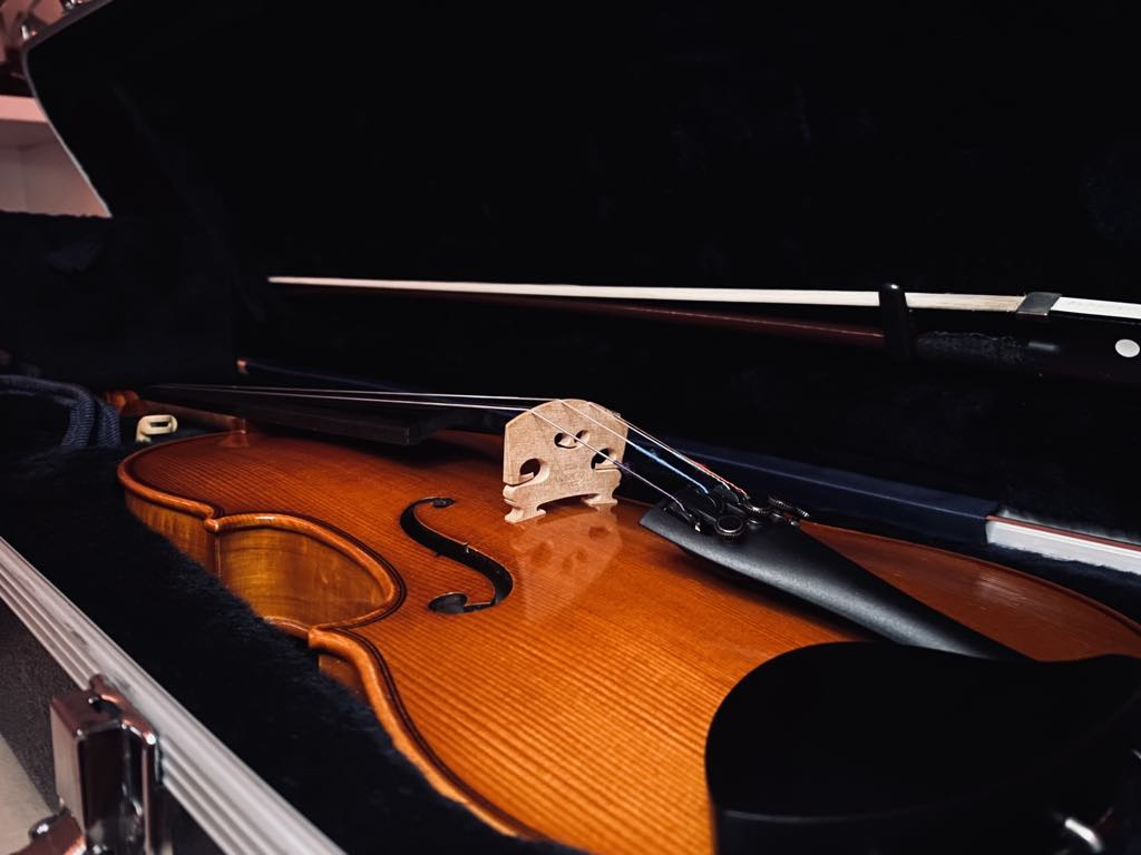 Violin Strobel ML-100