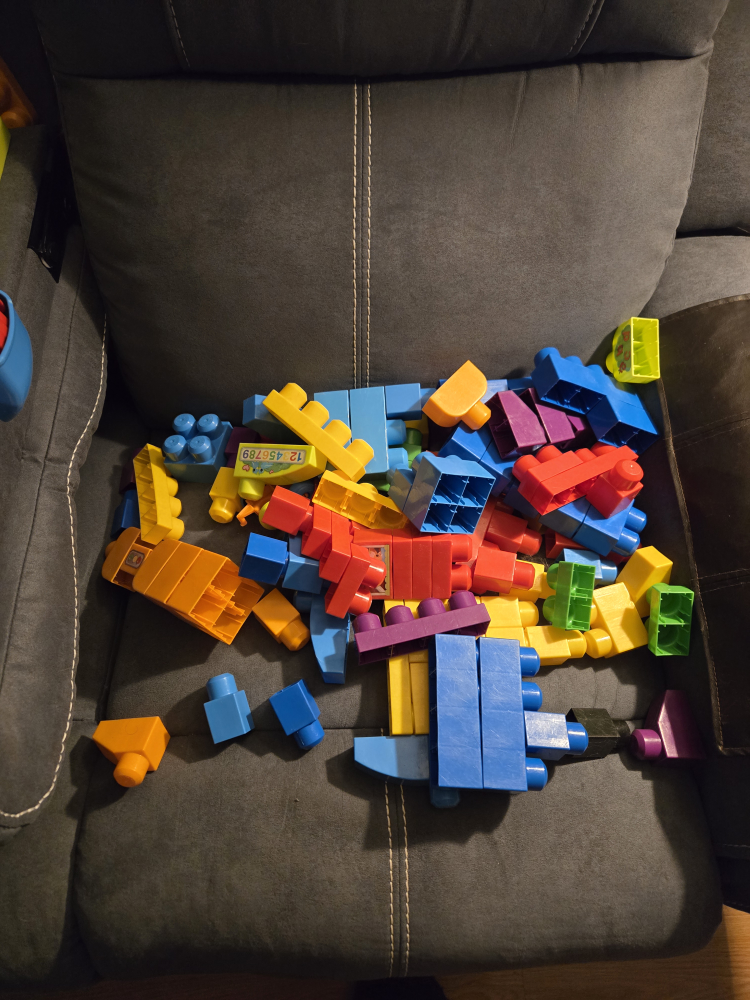 Mega Bloks First Builders Big Building Bag with Storage Case