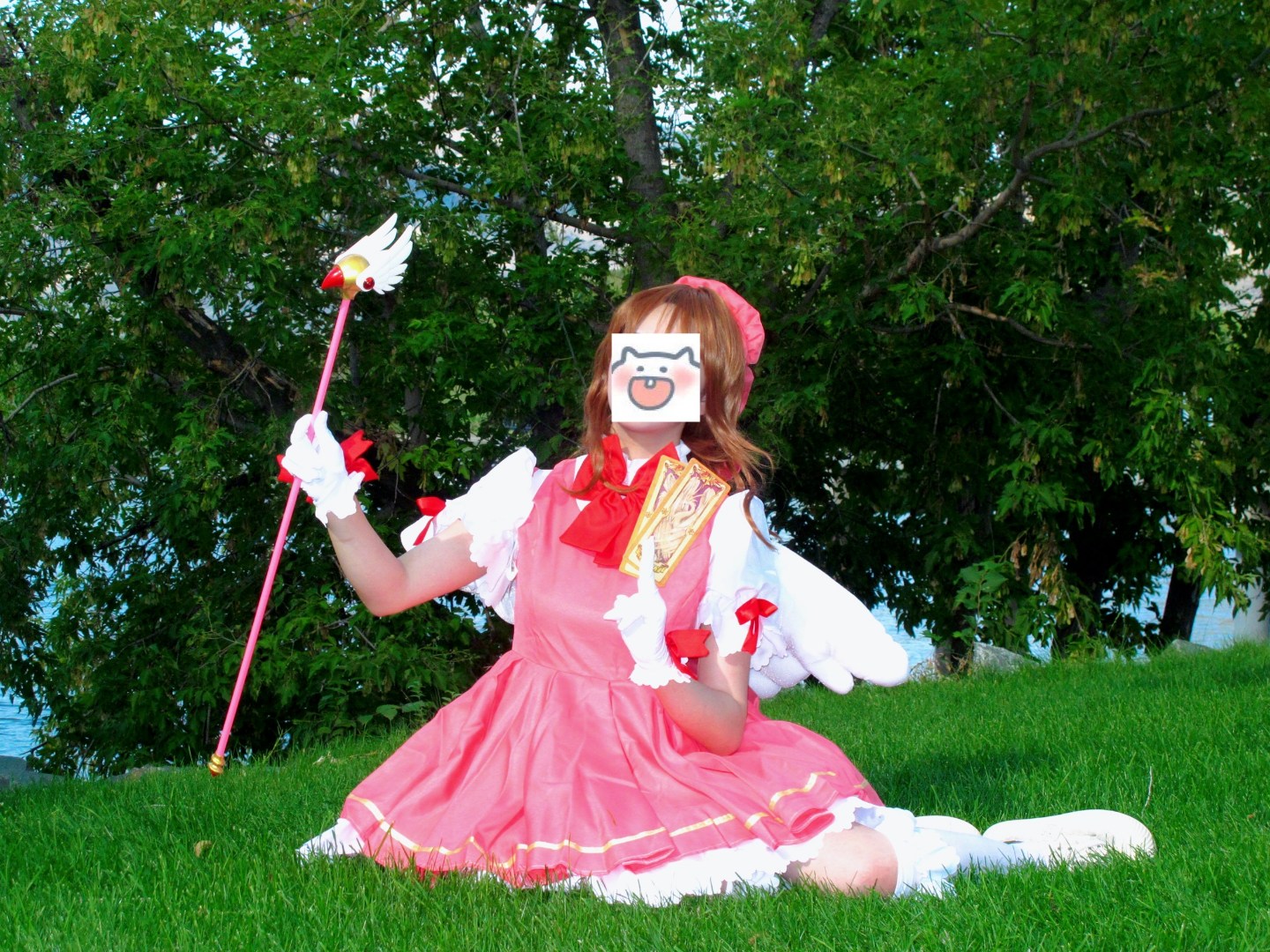 Sakura Cardcaptor Cosplay Costume