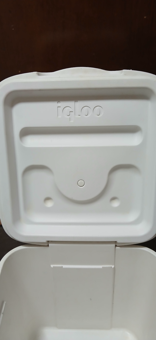 Igloo Small Cooler - photo 5