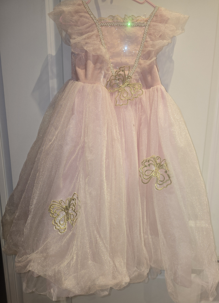 Girls Pink Butterfly Princess Dress costume