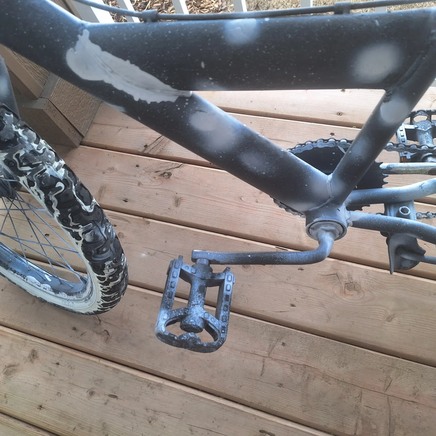 Bicycle image indicator(4)