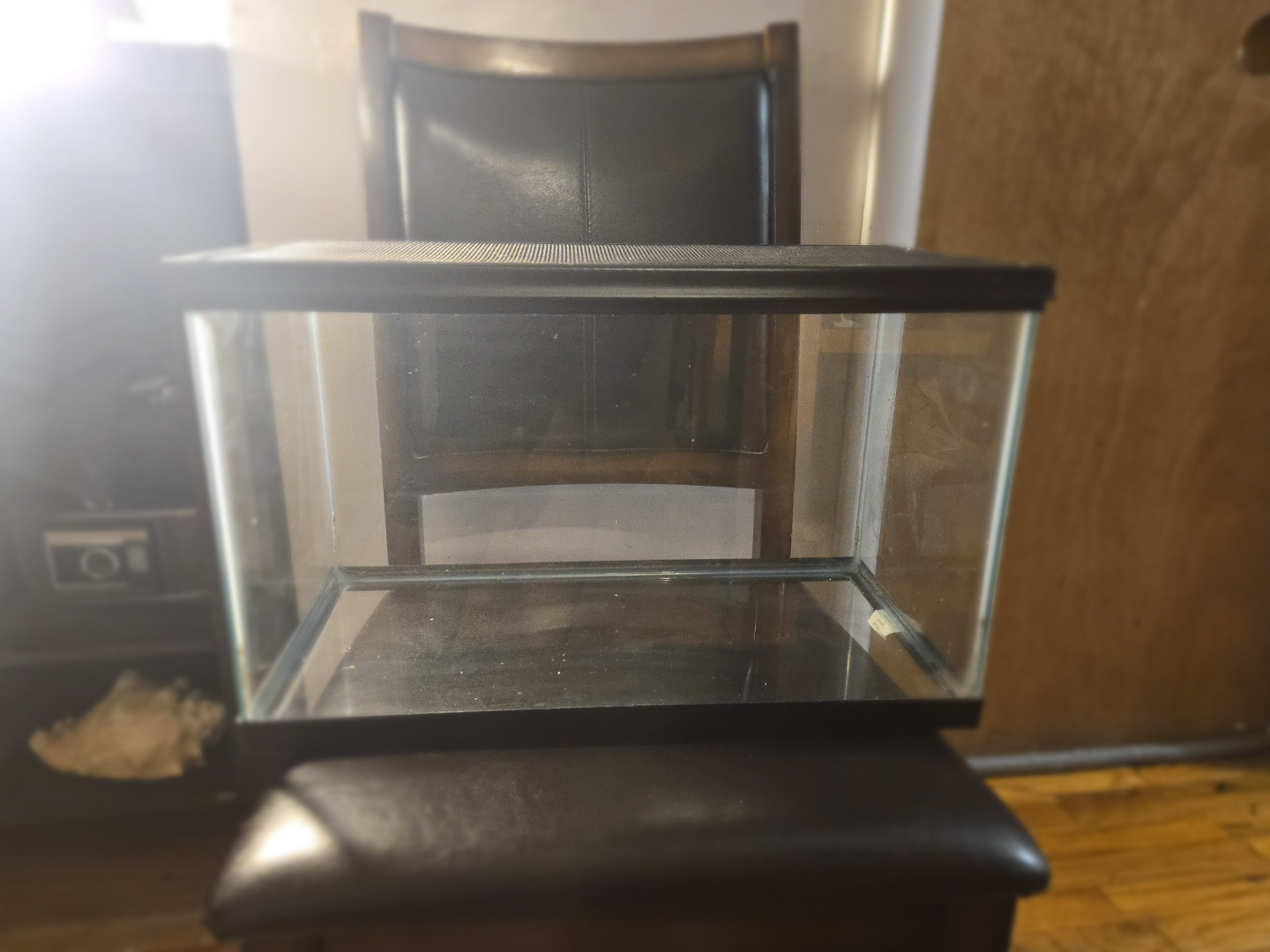 10 Gallon Glass Aquarium Tank with Mesh Lid - photo 4