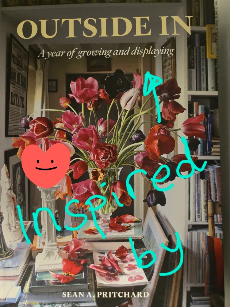 💚 Baby Geranium Plant SALMON image indicator(5)