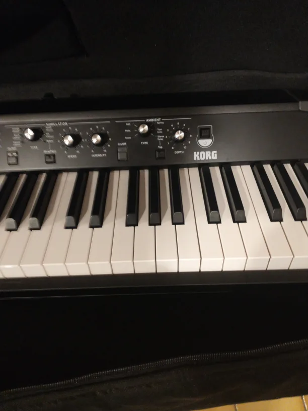 KORG SV 2-88 key Piano image indicator(6)