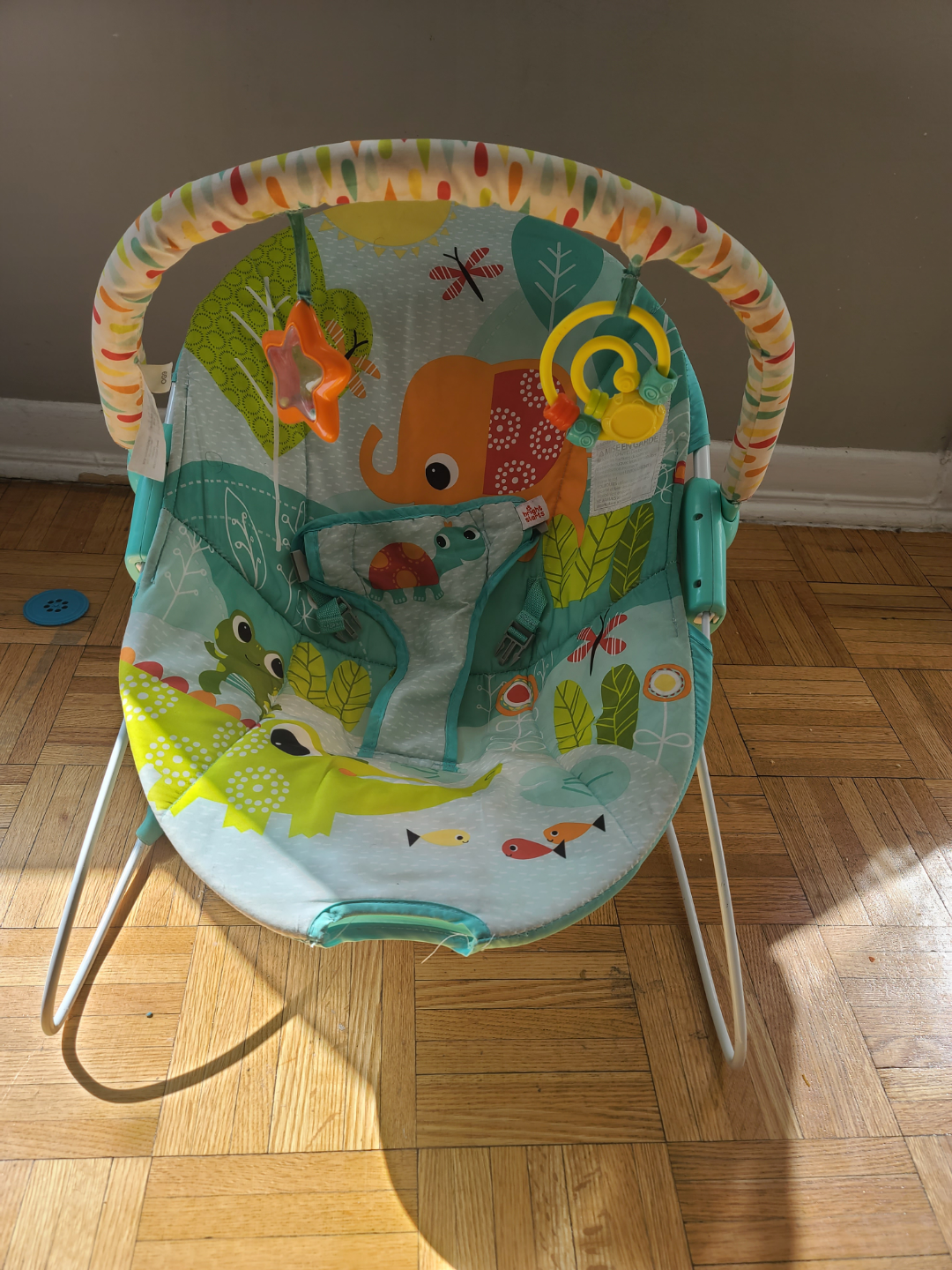 Bright Starts Raindrop Rainforest Baby Bouncer