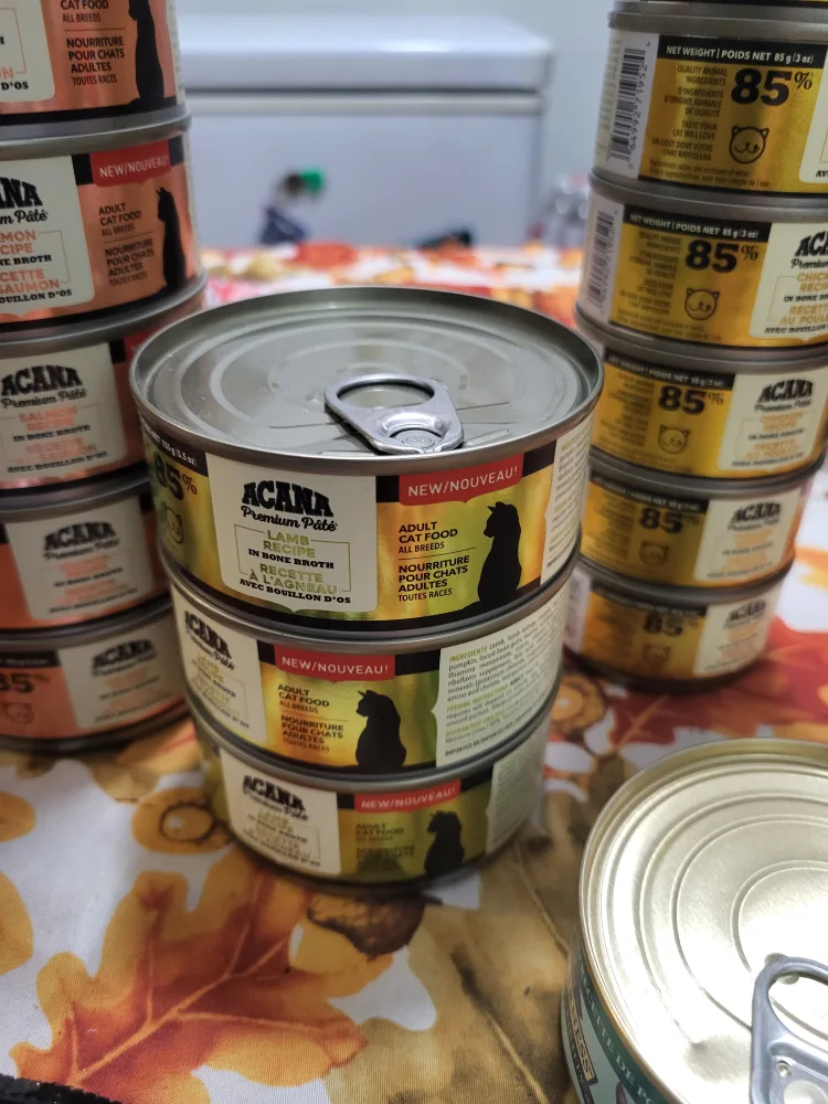 Cat Food image indicator(4)