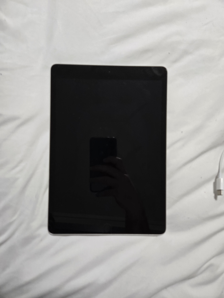 iPad 9th Generation 256 GB (10.2")