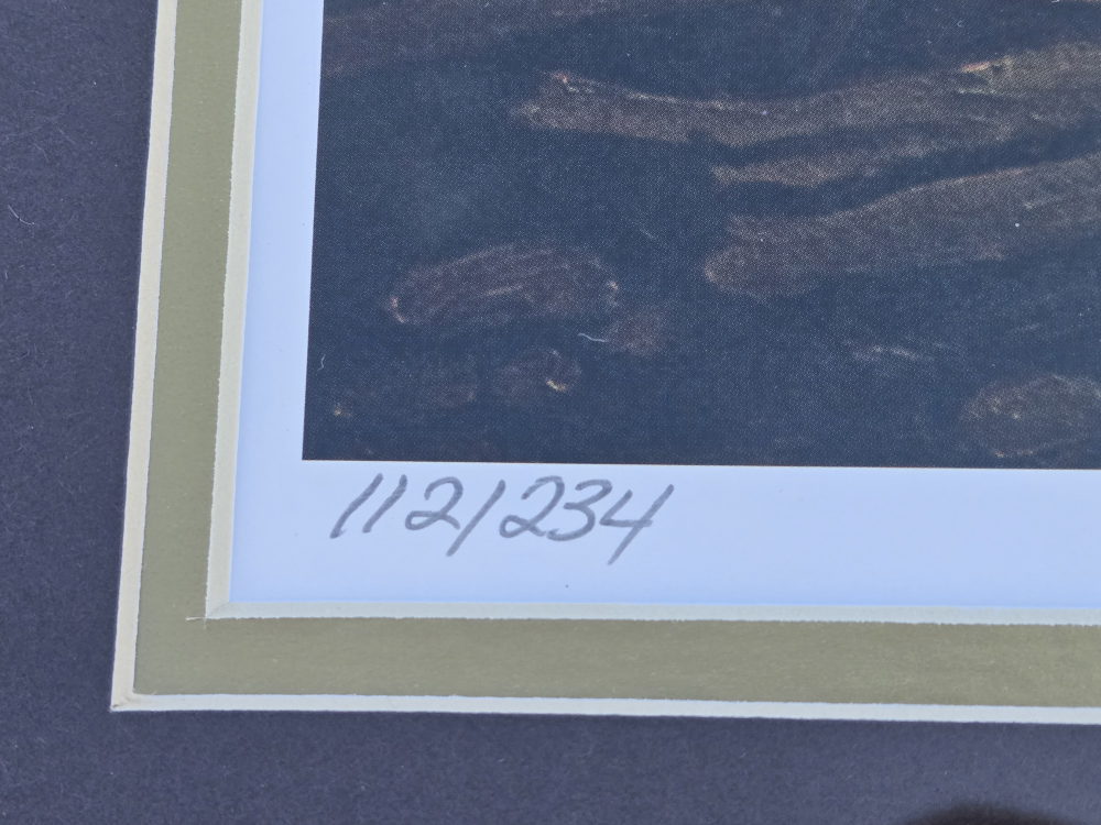 A.J. Casson "Afterglow" (#112/234) - photo 5