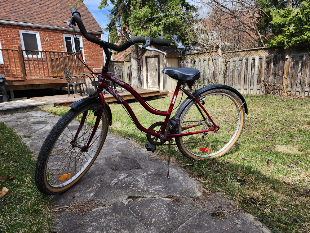 Pathfinder Cruiser Bike