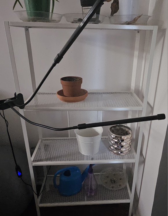 Plant Shelf 🥕💚 - photo 2