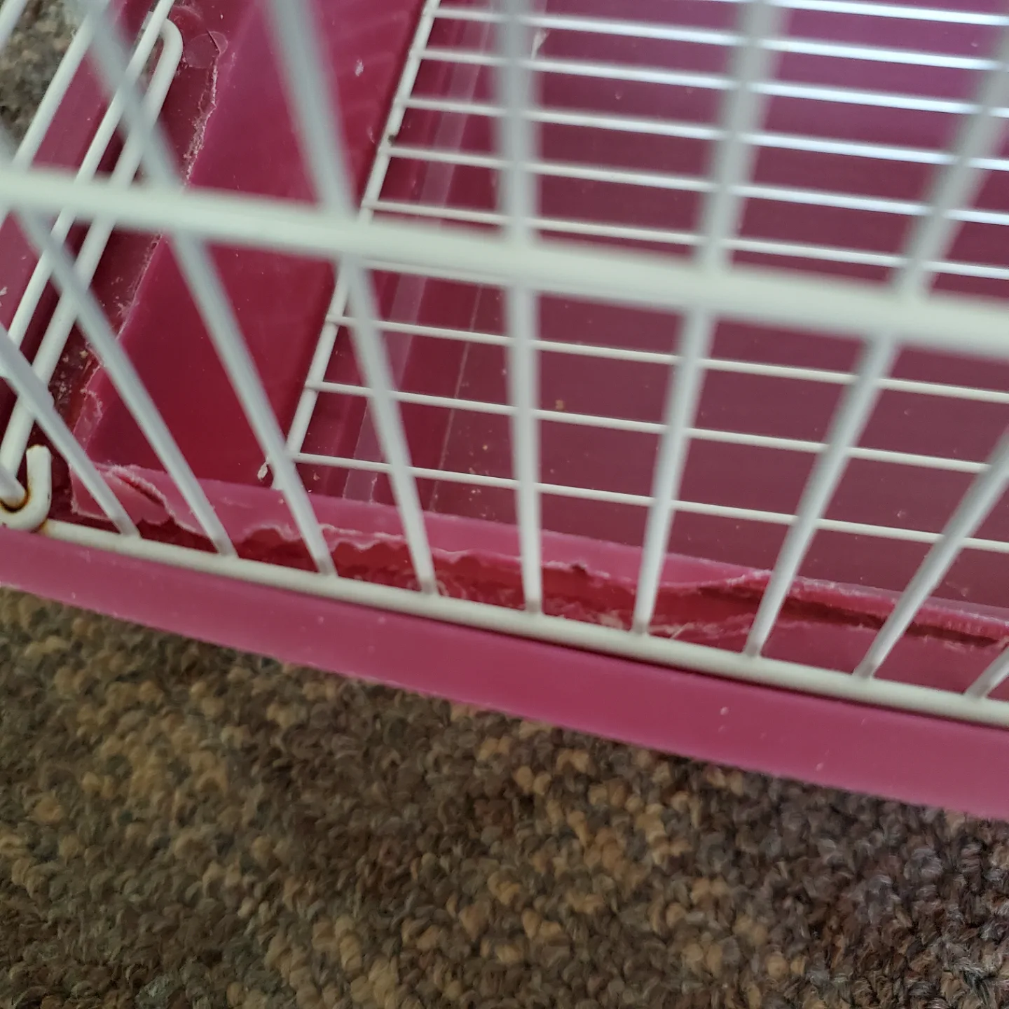 Prevue Hendryx Bird Cage image indicator(4)