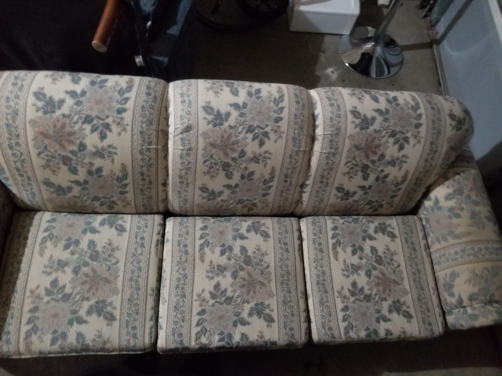 Two Sofas - Blue Futon & Floral Couch - photo 3
