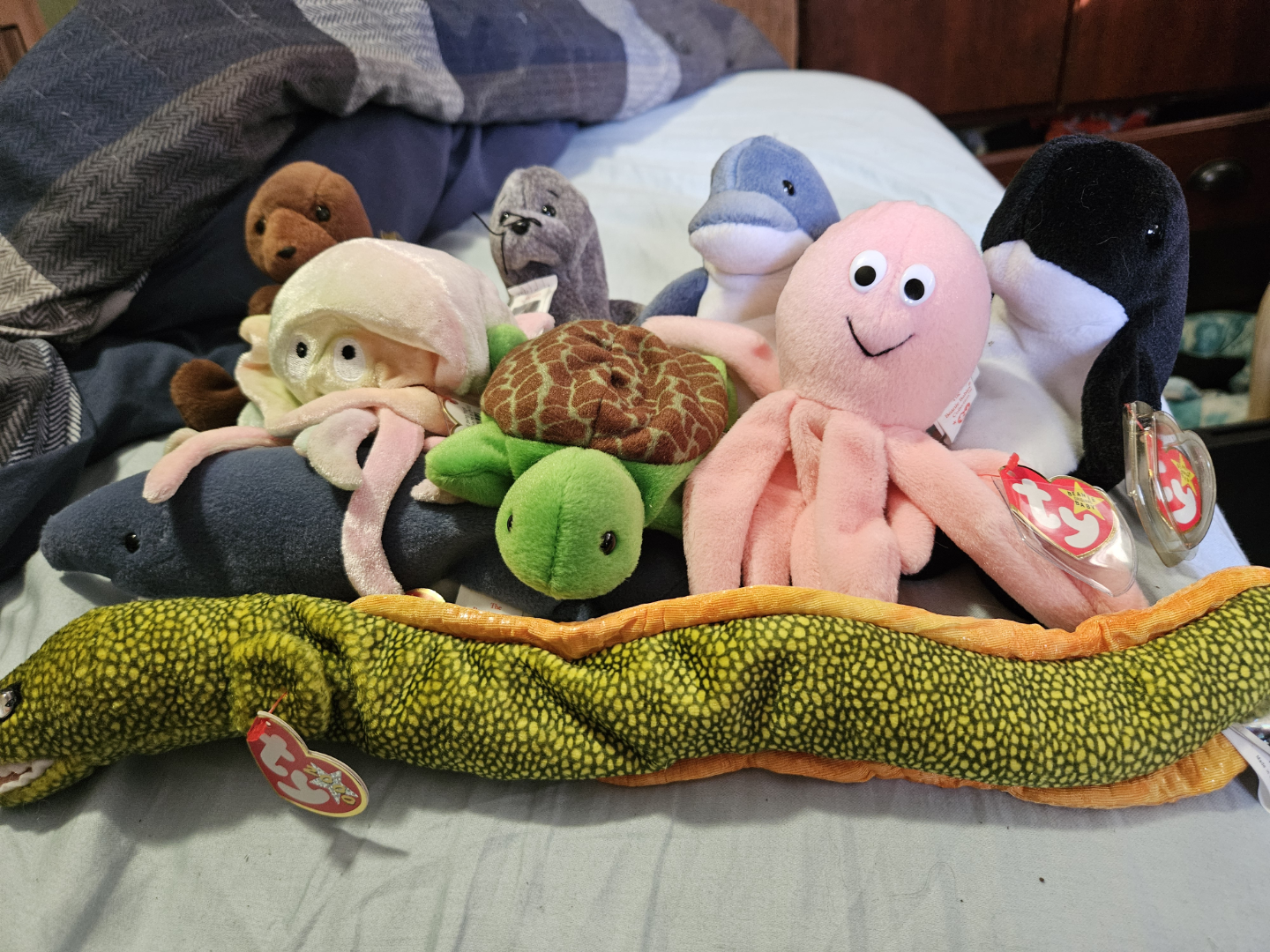 Beanie Babies Fish