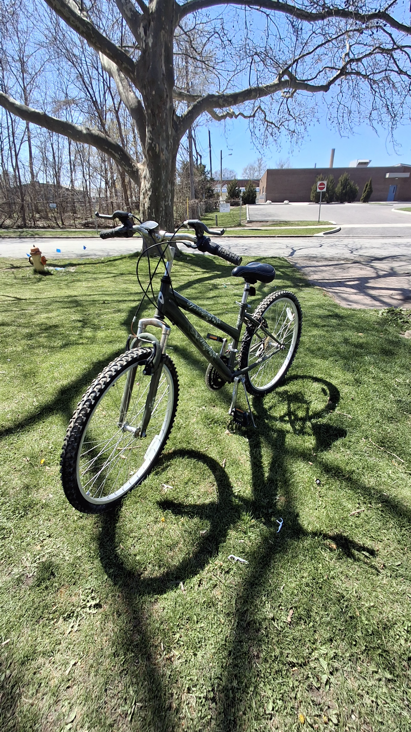 Women's Schwinn Protocol 26-inch Mountain Bike