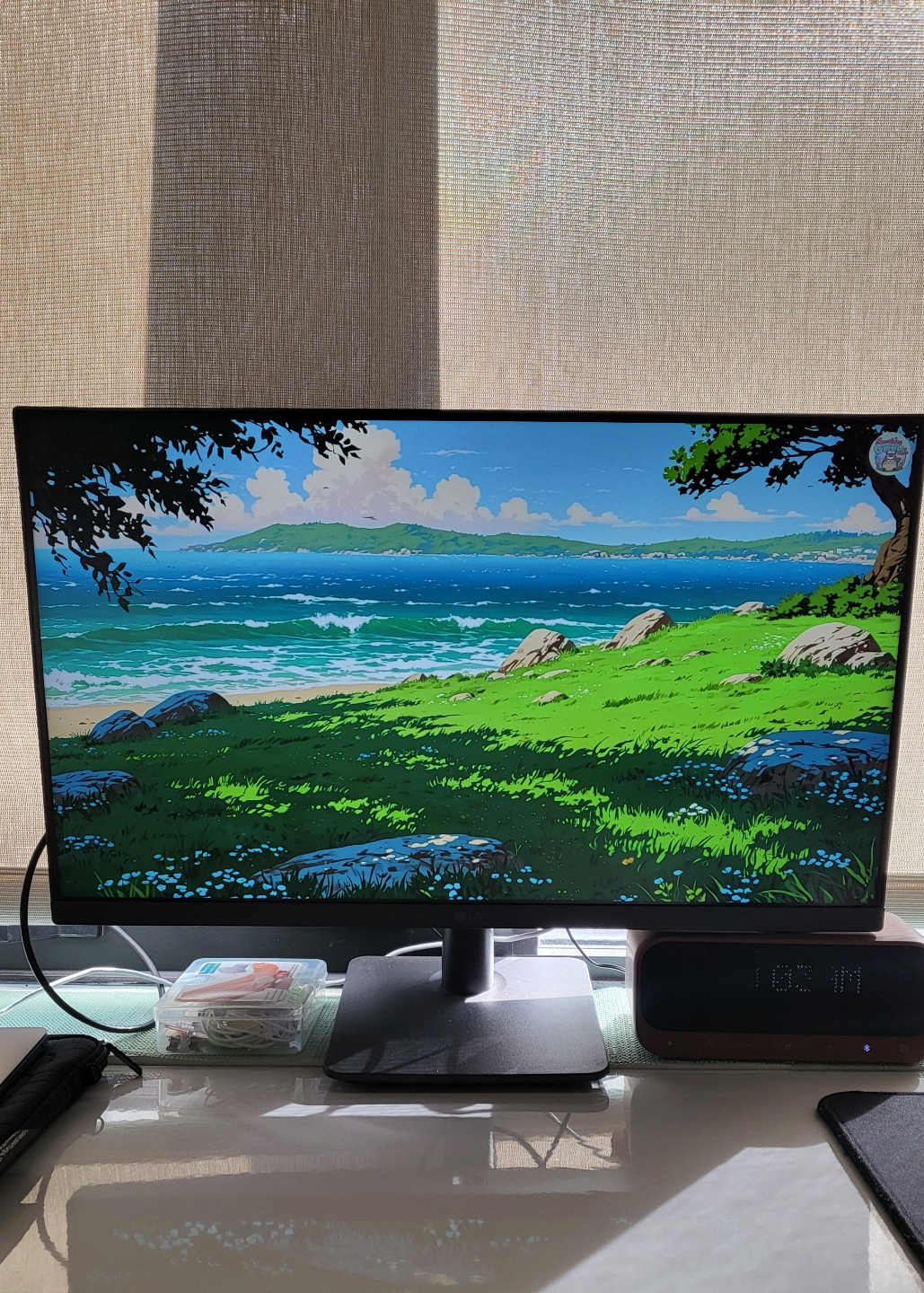 LG 24-inch Monitor