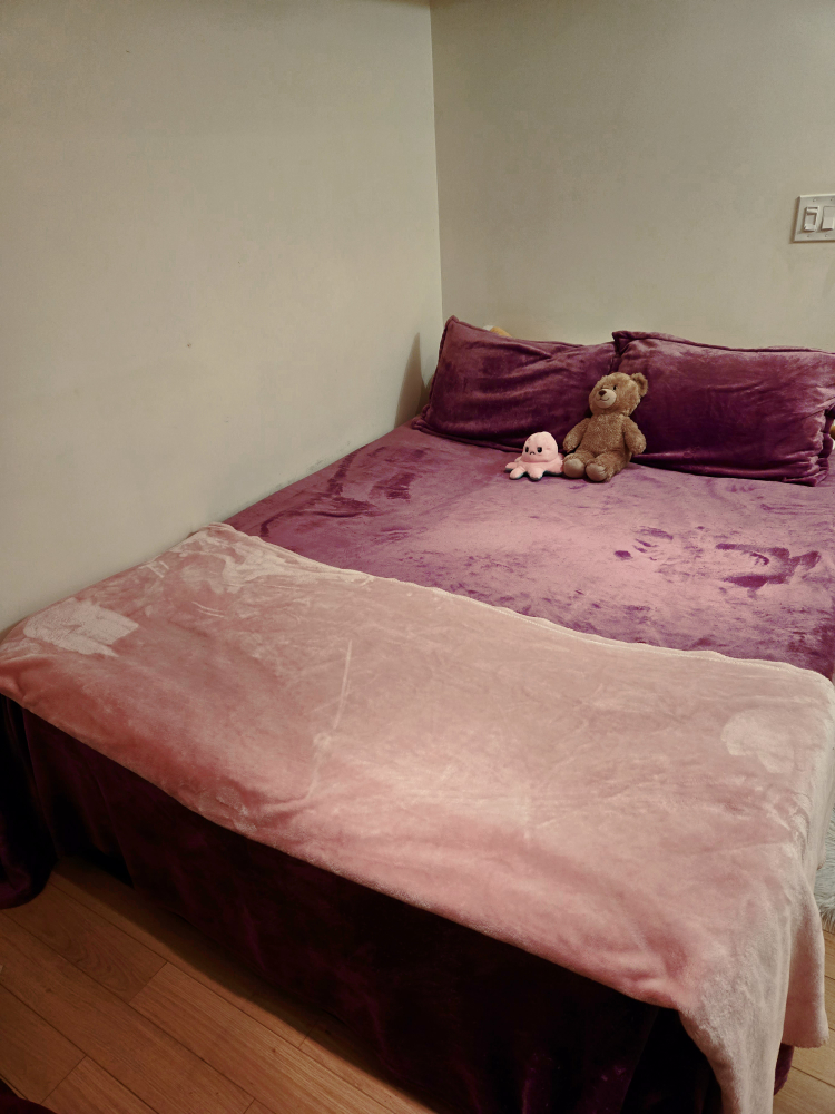 Metal Platform Bed Frame - Queen Size - photo 3