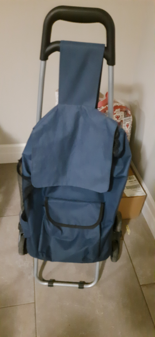 Portable Shopping Cart - Blue