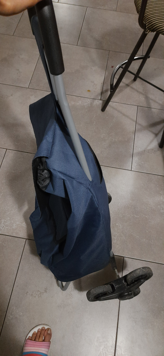 Portable Shopping Cart - Blue - photo 2