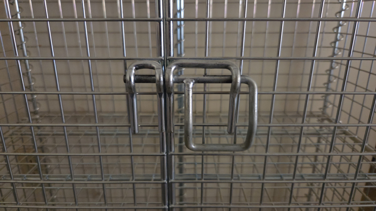 Large Metal Cage Storage - photo 3