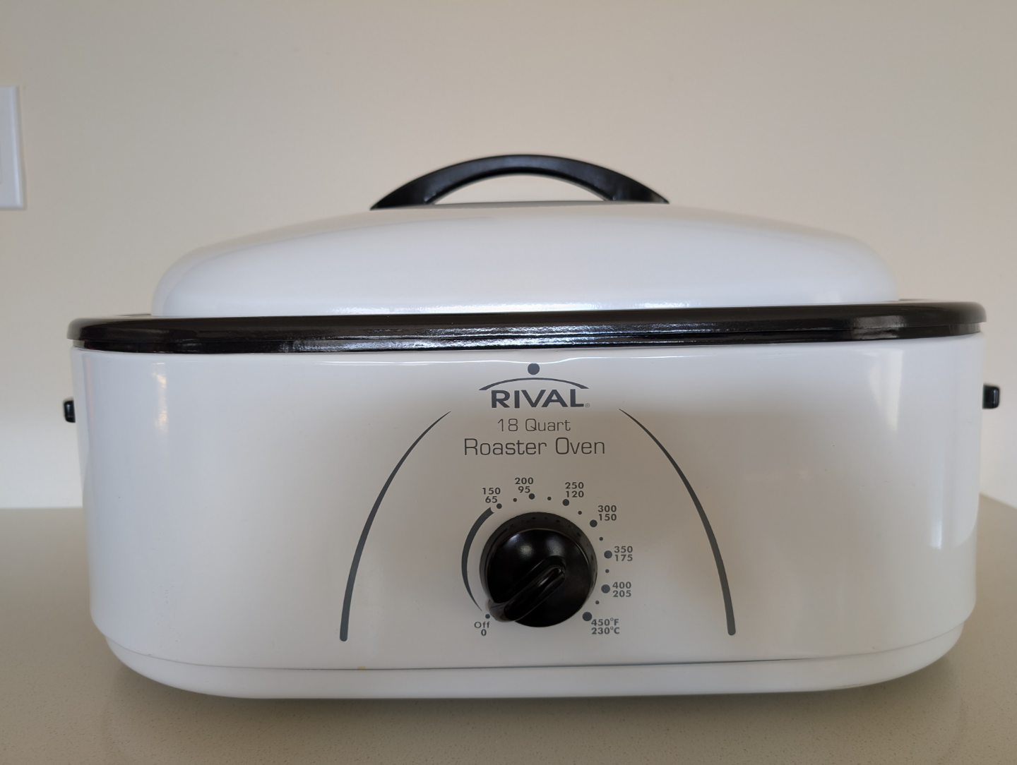 Rival 18 Quart Roaster Oven
