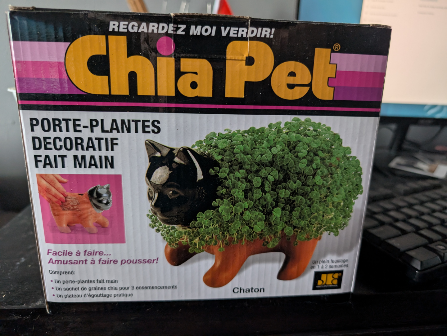 Chia Pet Cat Planter Kit