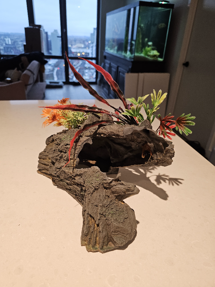 Aquarium Decorations - photo 2