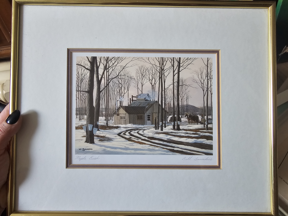 Framed Bill Saunders Maple Bush Print