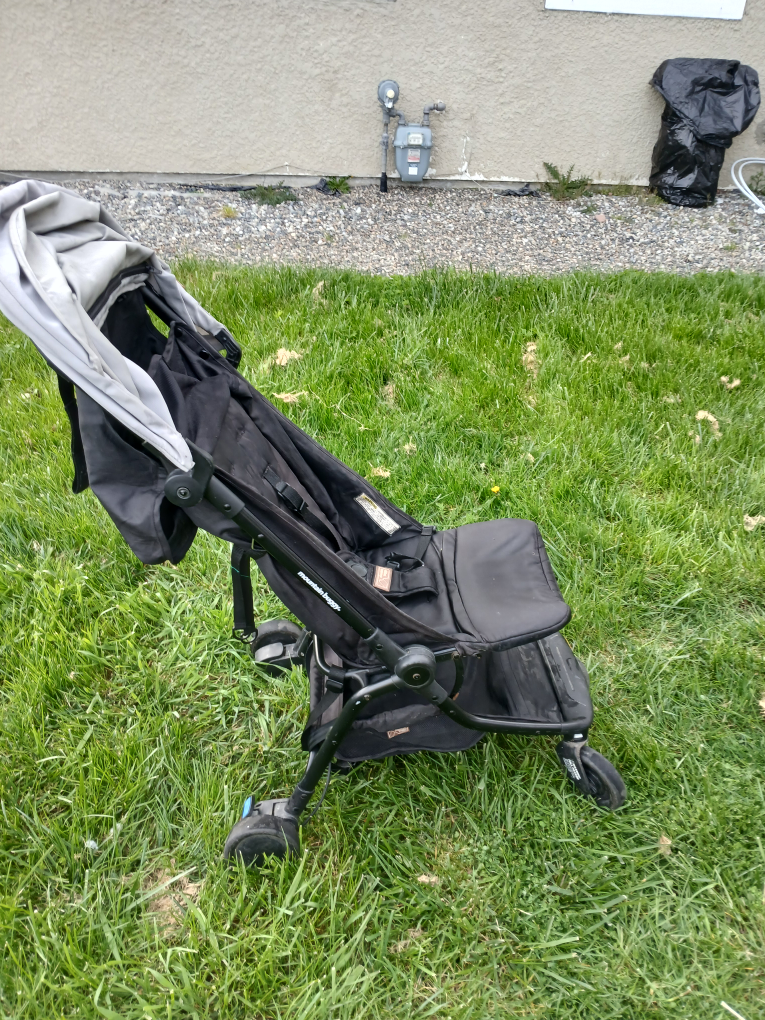mountain buggy Stroller