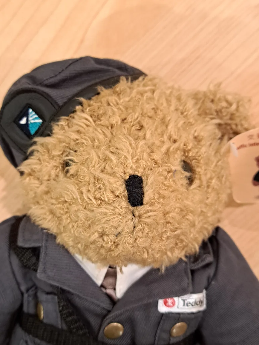 12" Hong Kong MTR Traffic Interchange Warden Teddy Bear image indicator(6)