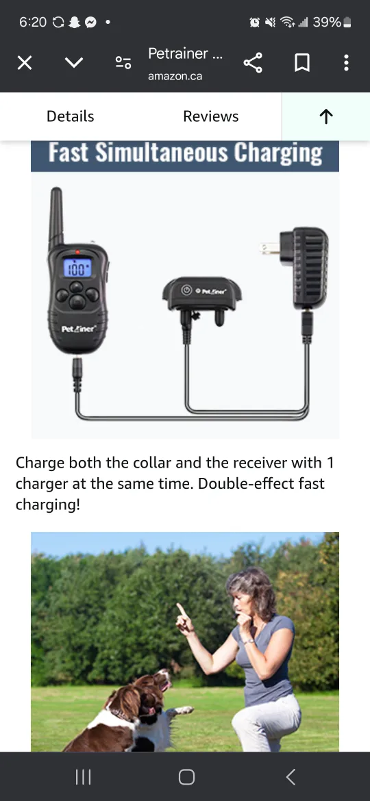 dog training collars image indicator(3)